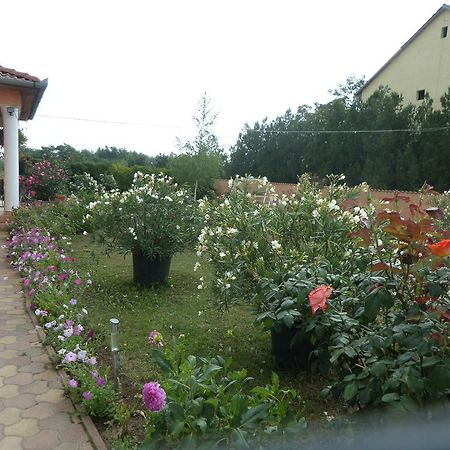 Liget Panzio Otel Nyirbogdany Dış mekan fotoğraf
