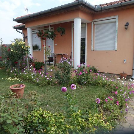 Liget Panzio Otel Nyirbogdany Dış mekan fotoğraf