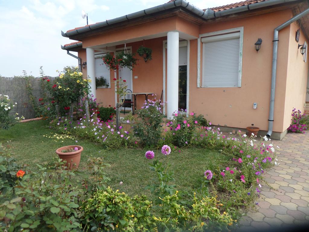 Liget Panzio Otel Nyirbogdany Dış mekan fotoğraf