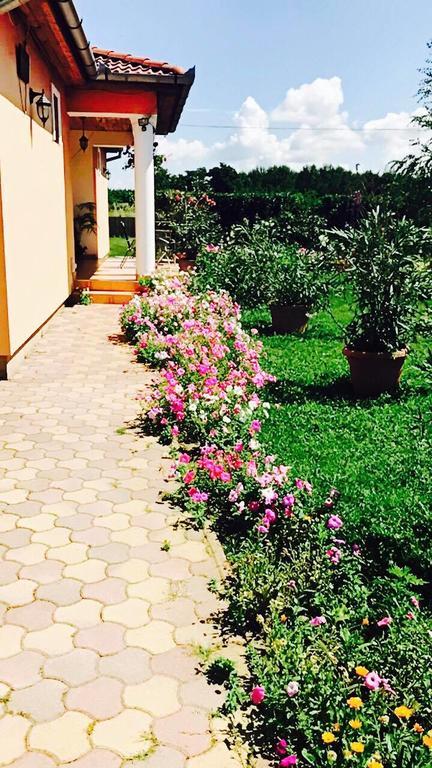 Liget Panzio Otel Nyirbogdany Dış mekan fotoğraf