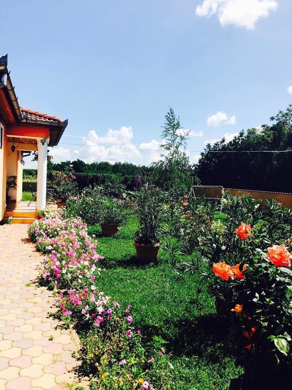 Liget Panzio Otel Nyirbogdany Dış mekan fotoğraf